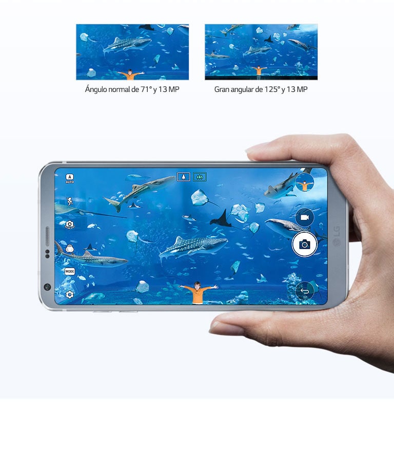 Consigue las mejores fotos<br>2