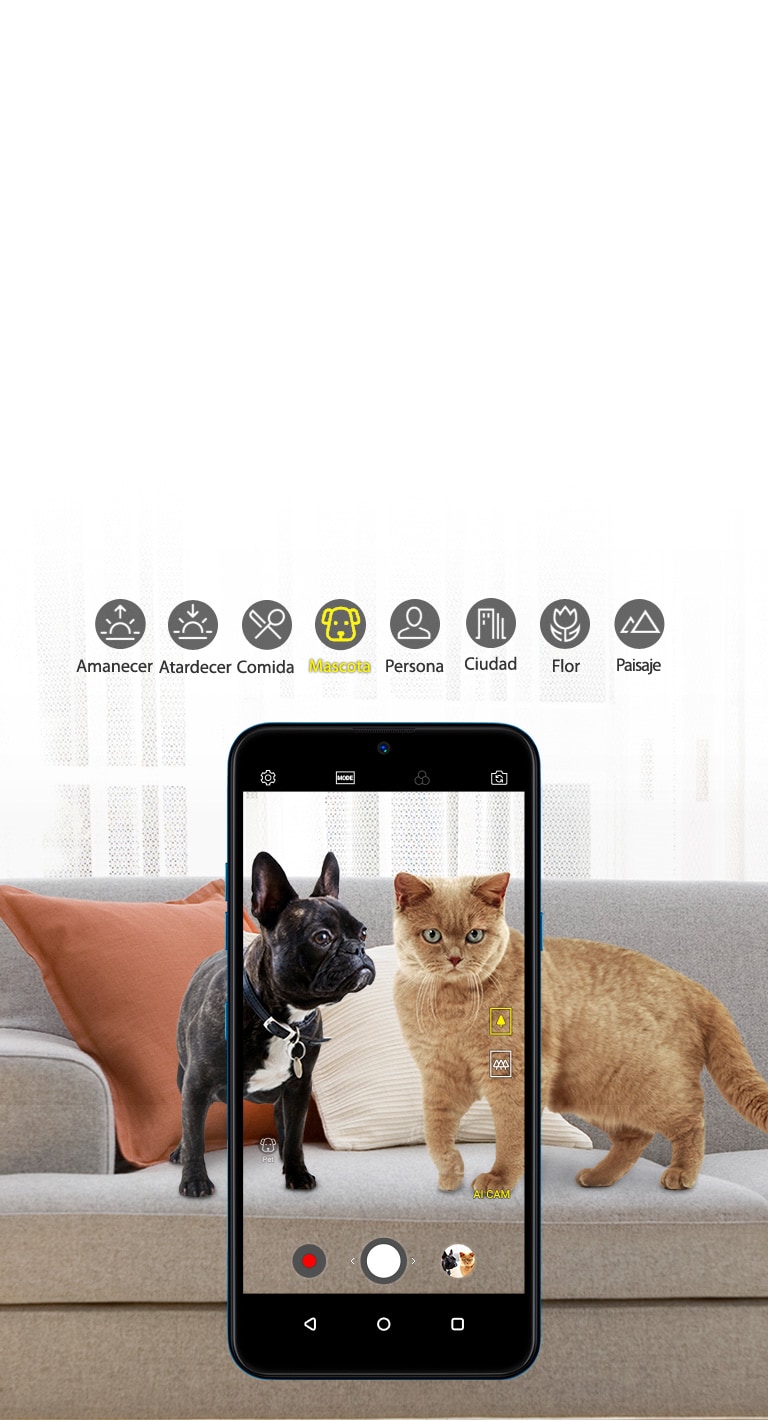 Cada toma pensada justo para ti<br>2