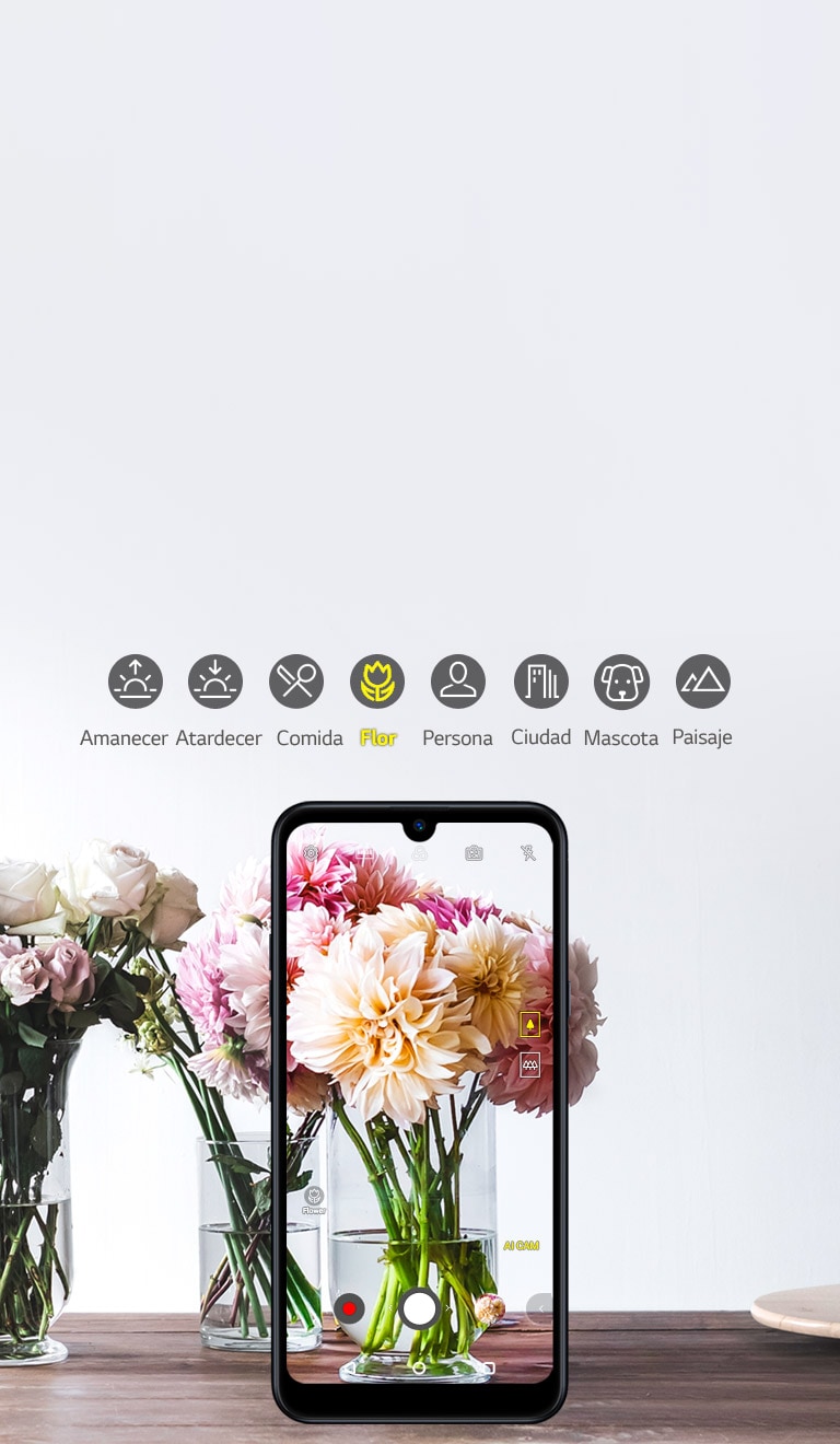 Cada toma, pensada justo para ti<br>2