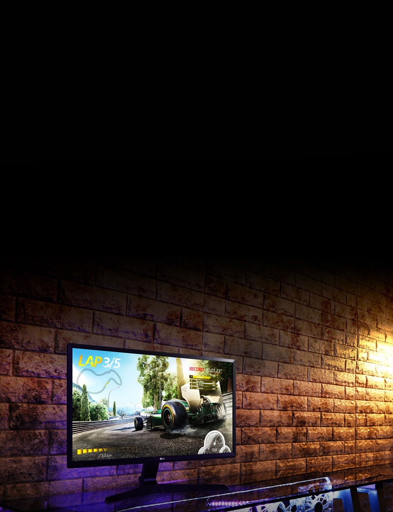 Full HD Gaming with 1ms Motion Blur Reduction