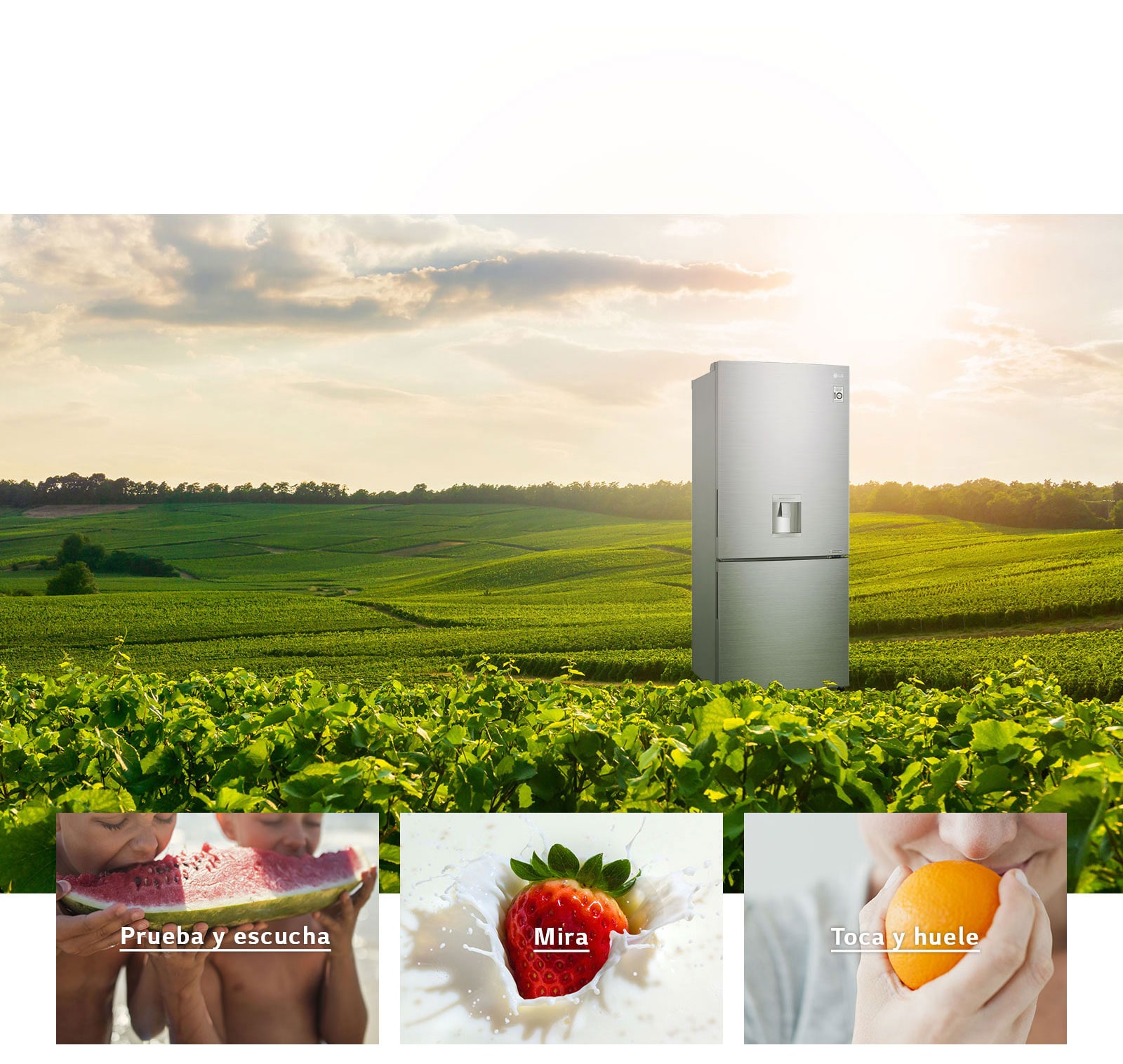 Deleita tus sentidos con NatureFRESH™