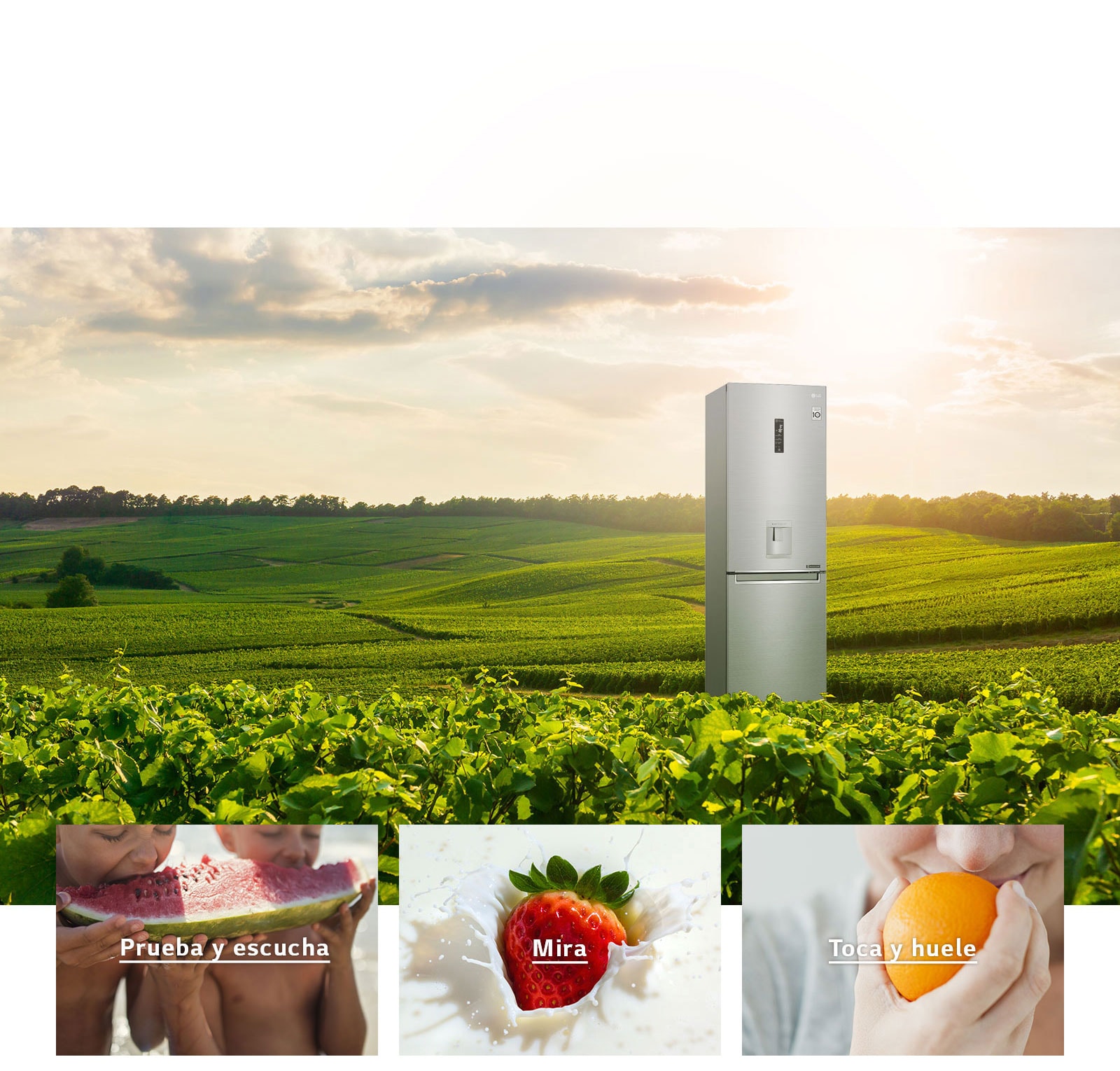 Deleita tus sentidos con NatureFRESH™