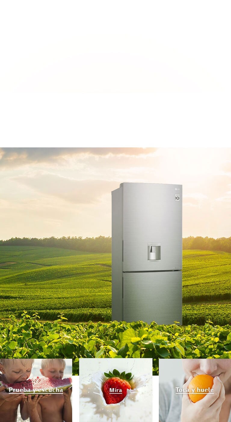 Deleita tus sentidos con NatureFRESH™