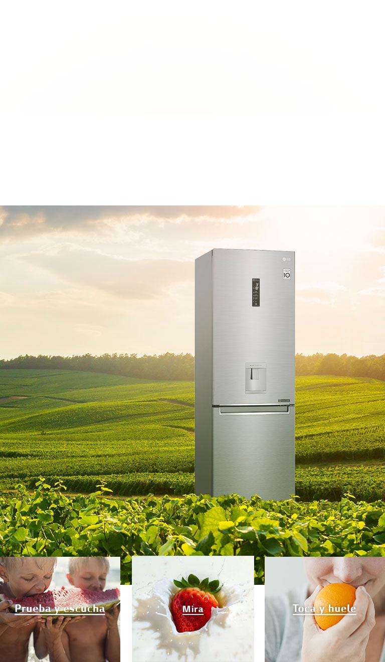 Deleita tus sentidos con NatureFRESH™