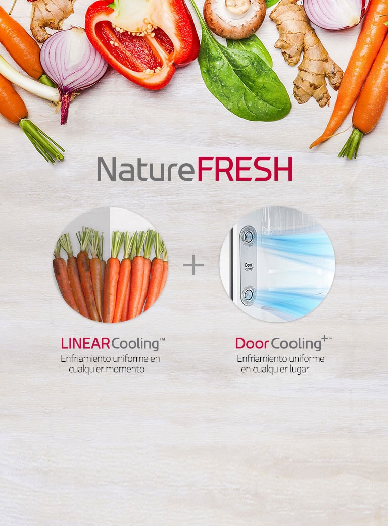 GM-F432HLHN_NatureFRESH_29112018_M