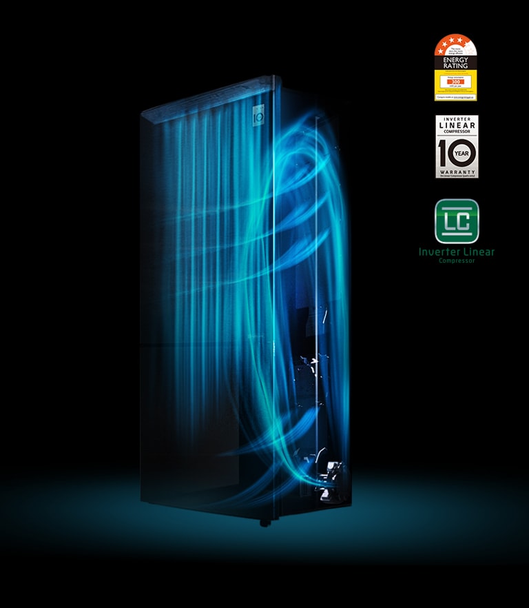 Inverter Linear Compressor