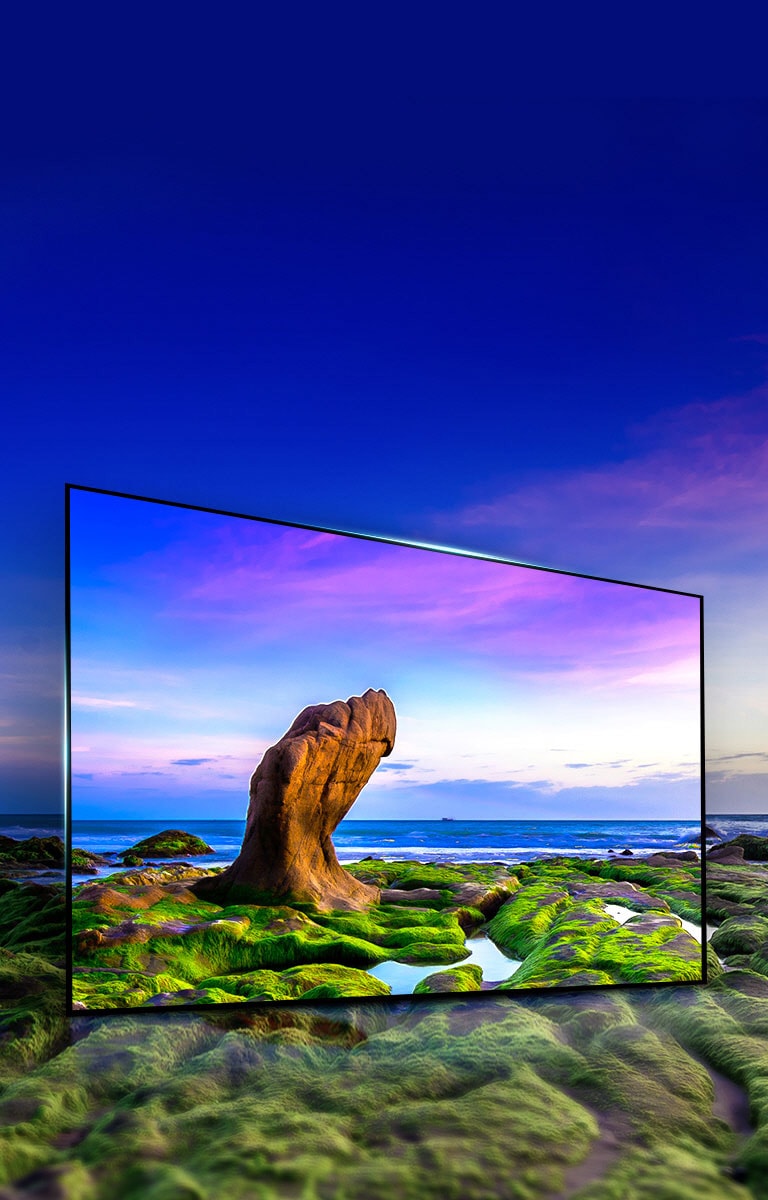 Color y contraste consistente desde todo ángulo