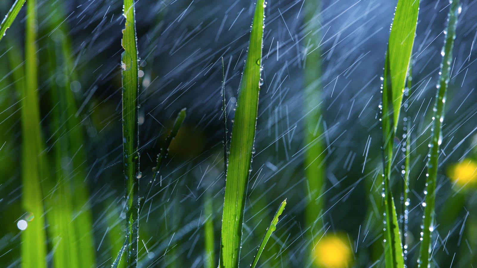 Sonido Virtual Envolvente1