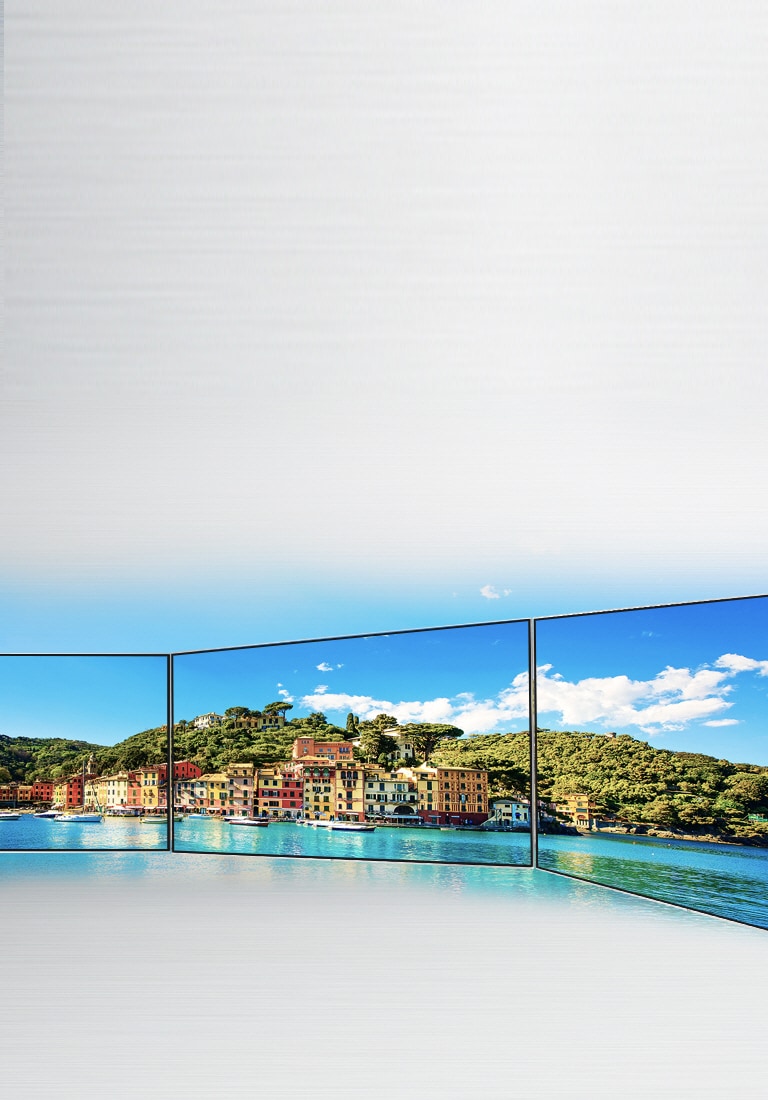 Amplio angulo de visión2