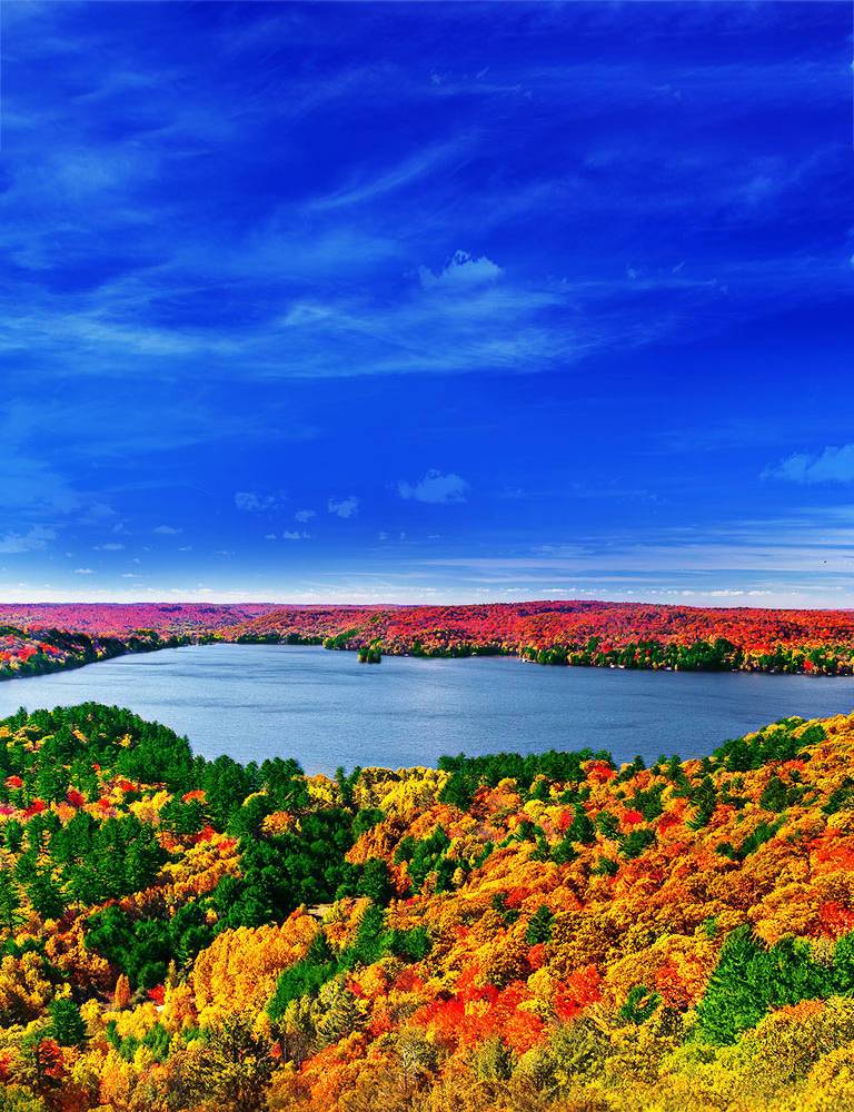 El origen de las imágenes realistas<br>2