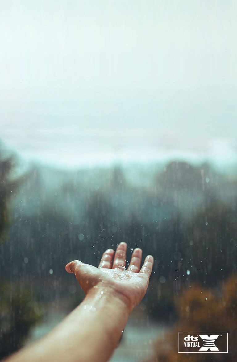 DTS Virtual:X<br>Agrega otra dimensión al sonido2