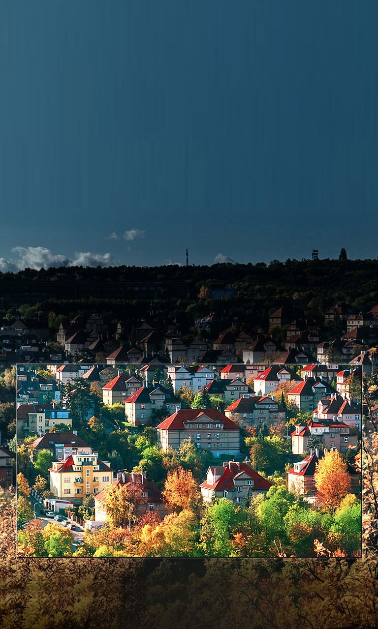 Colores espectaculares con Nano Cell™ Display<br>2