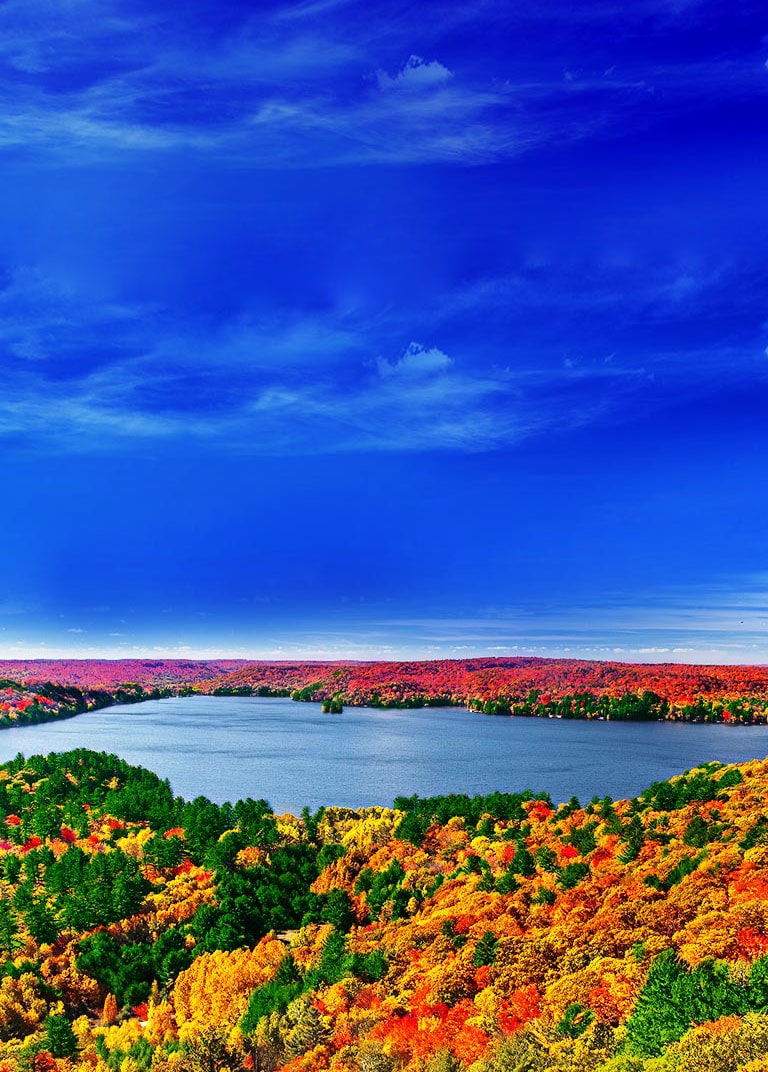 El origen de las imágenes realistas