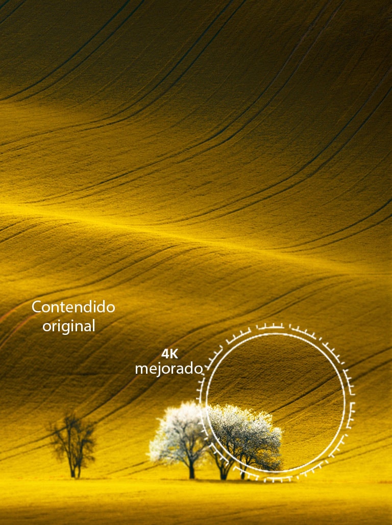 Una vista de la naturaleza, comparando la calidad de la imagen que el contenido no 4K y el contenido 4K escalado.