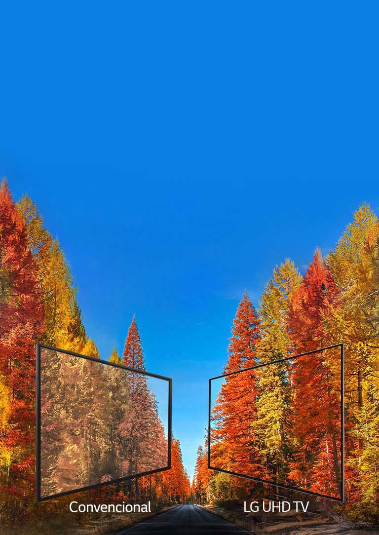 Imágenes consistentes en cualquier ángulo2