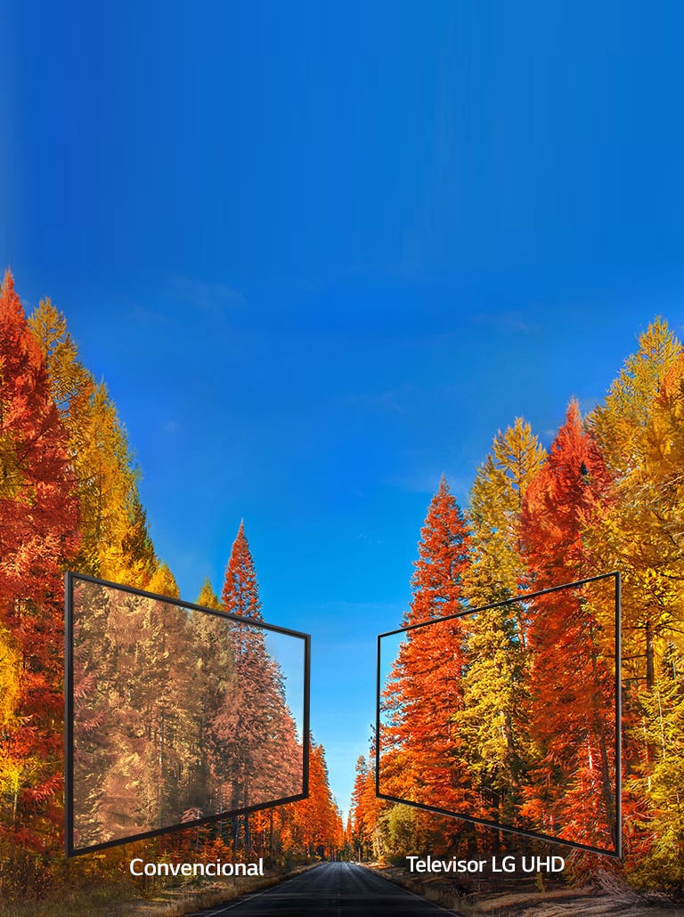 Con imágenes precisas desde cualquier ángulo<br>2