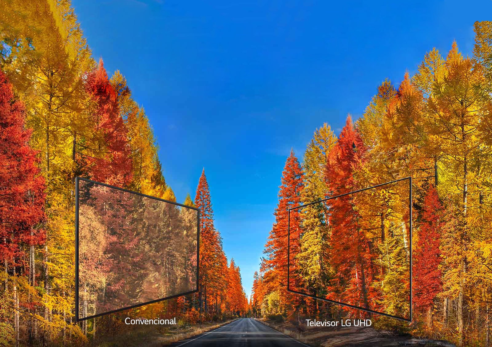 Con imágenes precisas desde cualquier ángulo<br>1