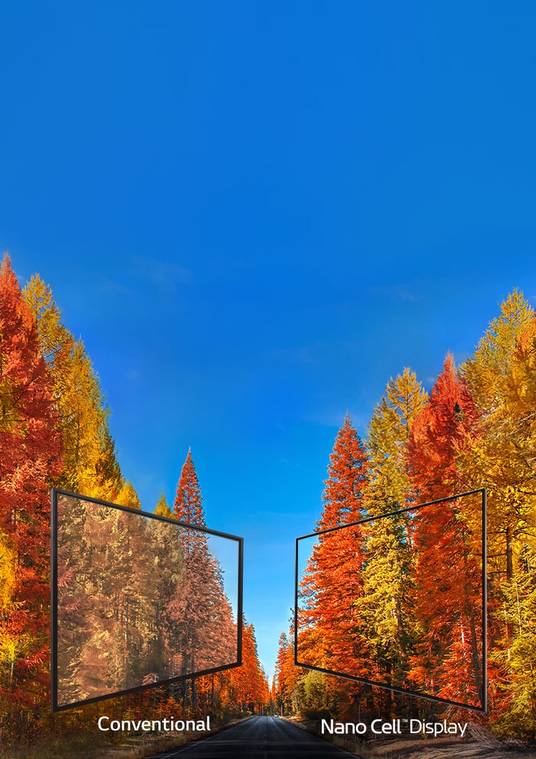 La verdad sobre los colores en TV<br>2