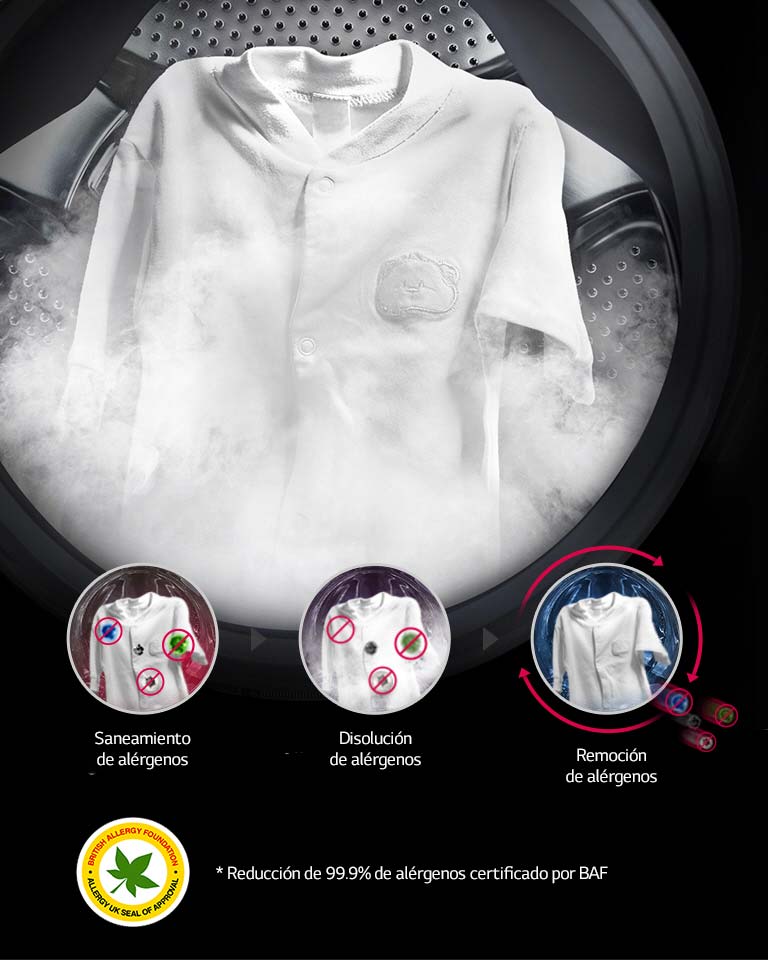 Tecnología de vapor2