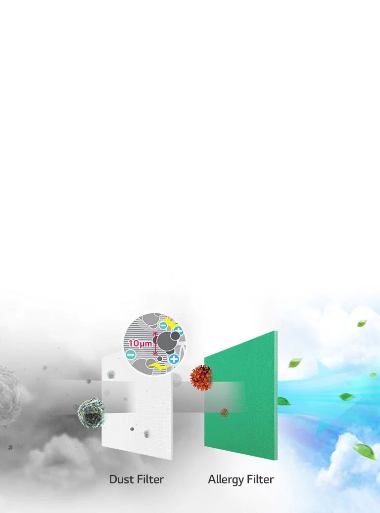 Filta los contaminantes no deseados