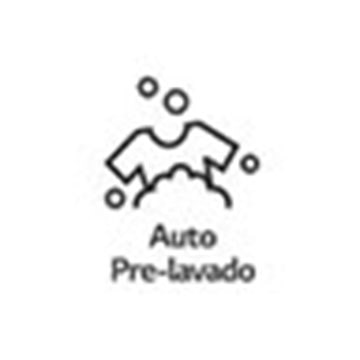 Auto Pre Lavado