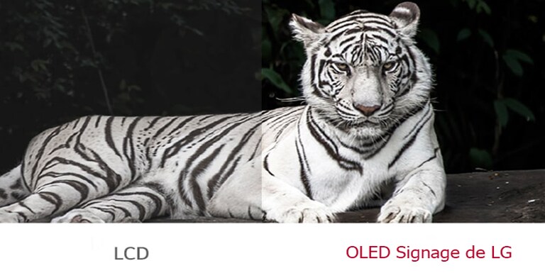 LG OLED Signage shows better contrast between black and white than ordinary LCD.