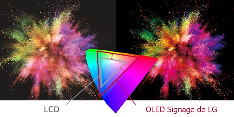 OLED Signage de LG tiene una variedad de colores en lugar de LCD para expresar el objeto de forma más vívida.