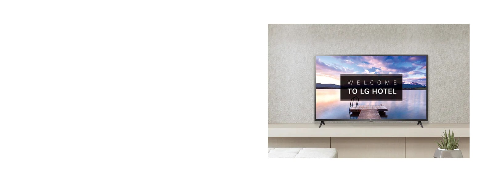 Pantalla / Video de bienvenida