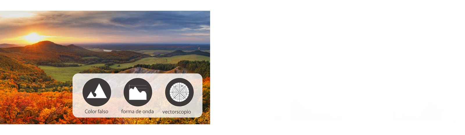 A través del análisis de la señal de video, se visualiza y muestra la información de color falso, forma de onda y vectorscopio.