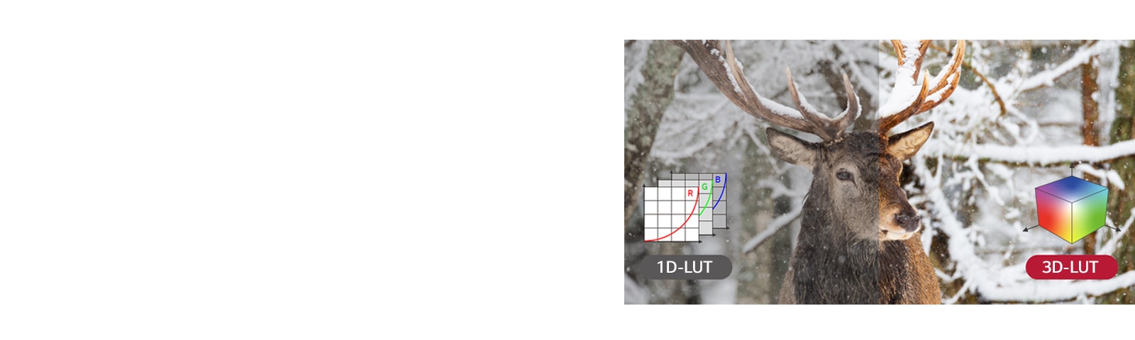 Al usar 3D-LUT en lugar de 1D-LUT, la combinación de colores se vuelve más abundante, lo que hace que la reproducción del color sea más precisa.