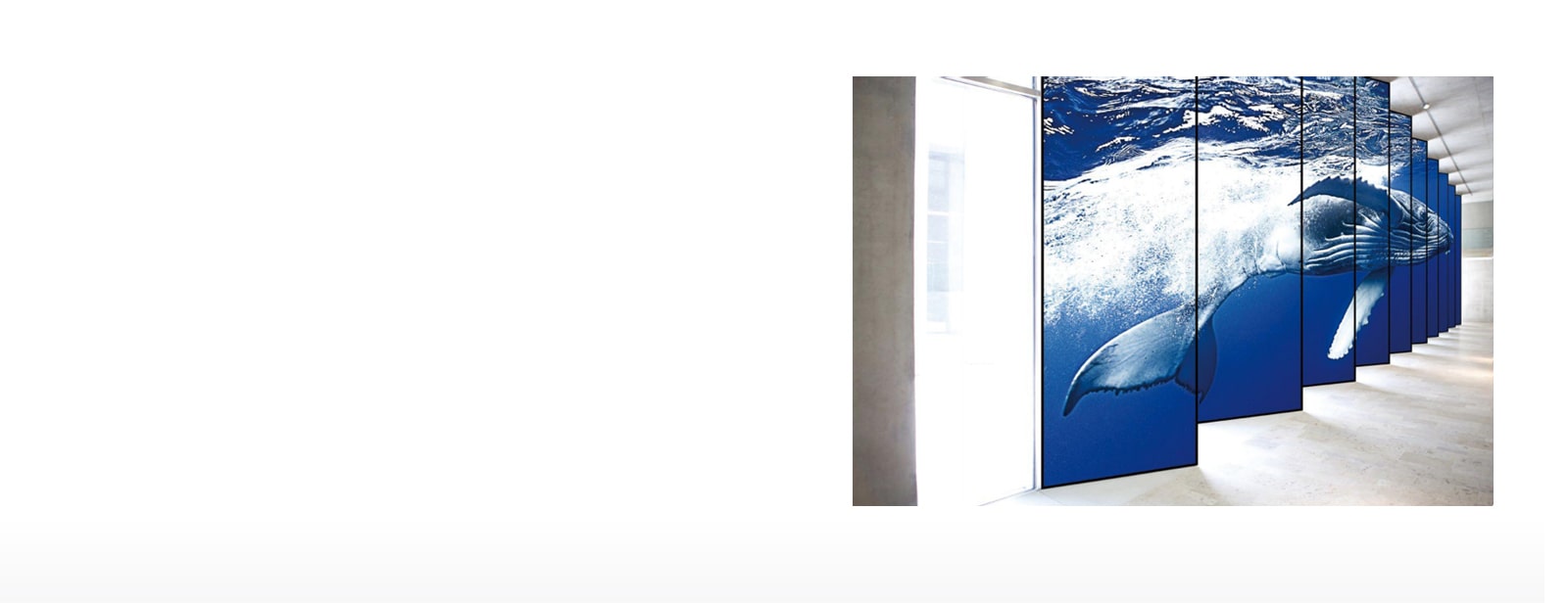 Escena de mosaico con vista inmersiva1