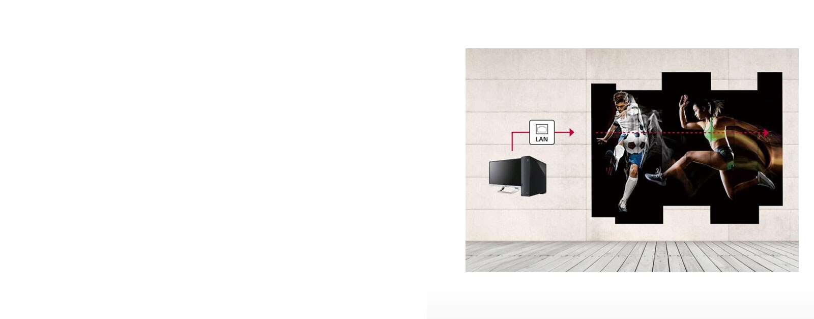 Conexión en cadena margarita LAN