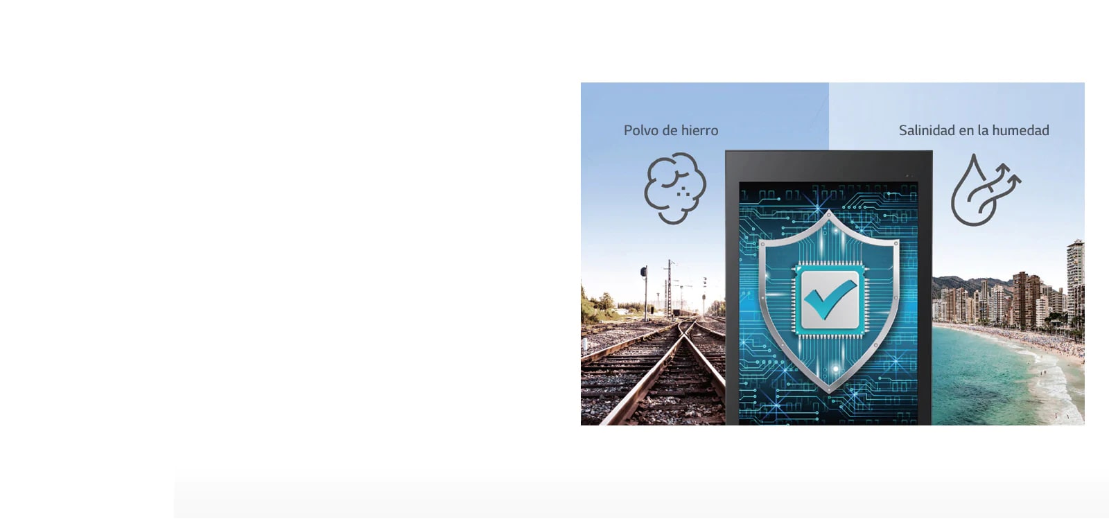 Revestimiento de conformación	