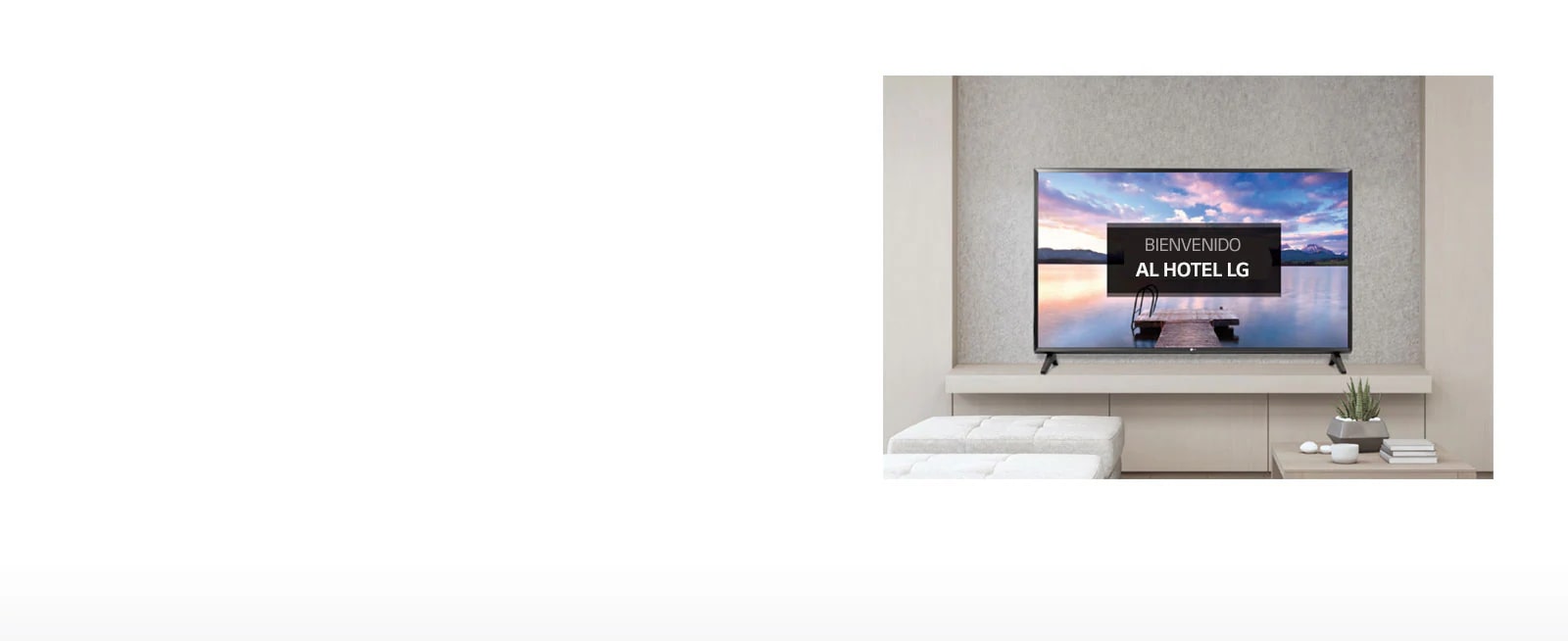 Pantalla / Video de bienvenida