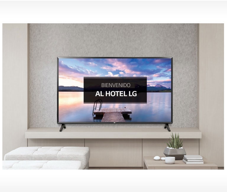 Pantalla / Video de bienvenida