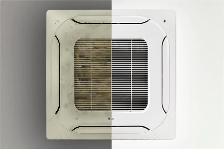 Servicio de renovación1