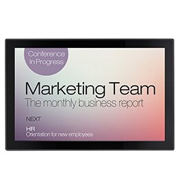 Pantalla Chica de 10”2