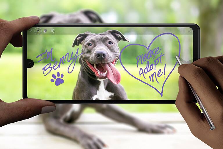 Personaliza tus notas y diseños #ConTodo