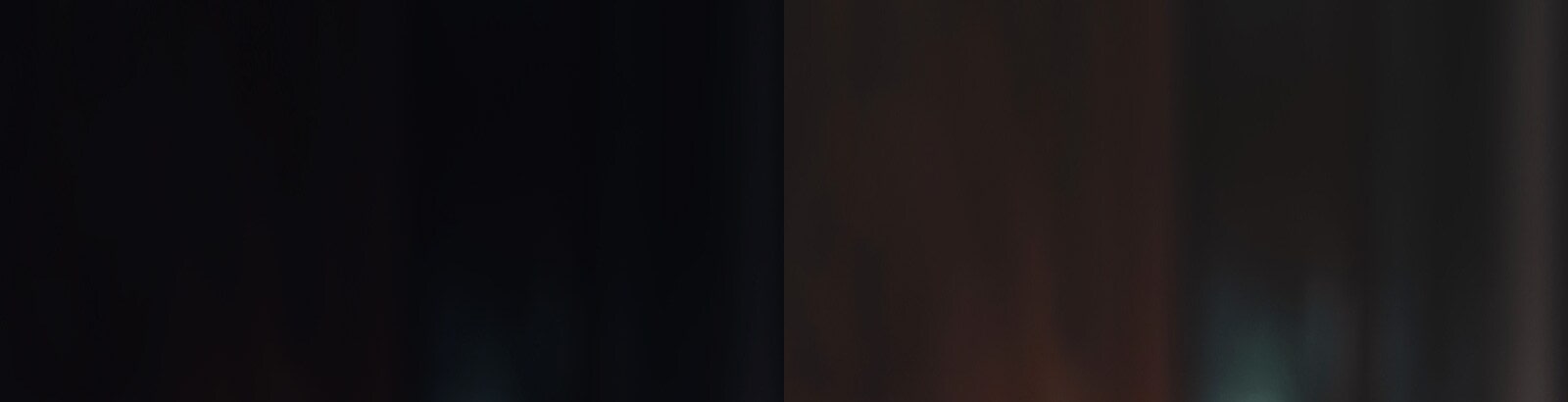 Un perro con una imagen brillante a la derecha, un perro con una imagen oscura a la izquierda.