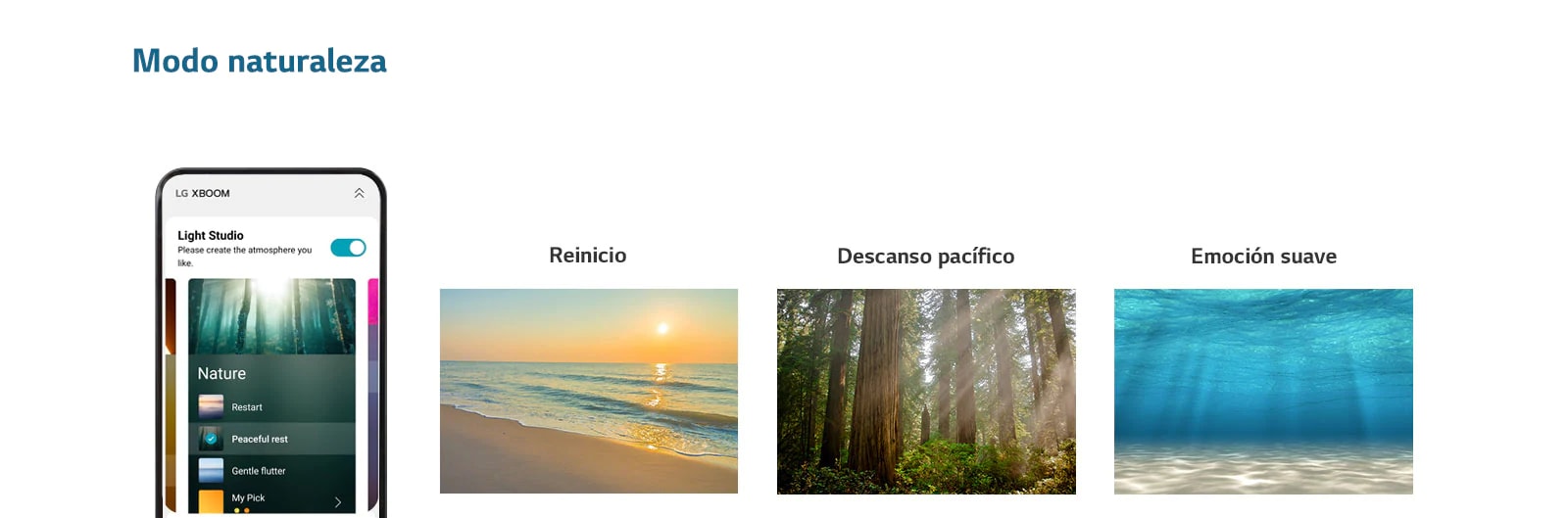 "Imagen del teléfono móvil con la pantalla de la APLICACIÓN encendida en modo naturaleza. Una imagen de una playa al atardecer. Una imagen de un bosque iluminado por el sol. La imagen de la luz brillando bajo el mar claro."