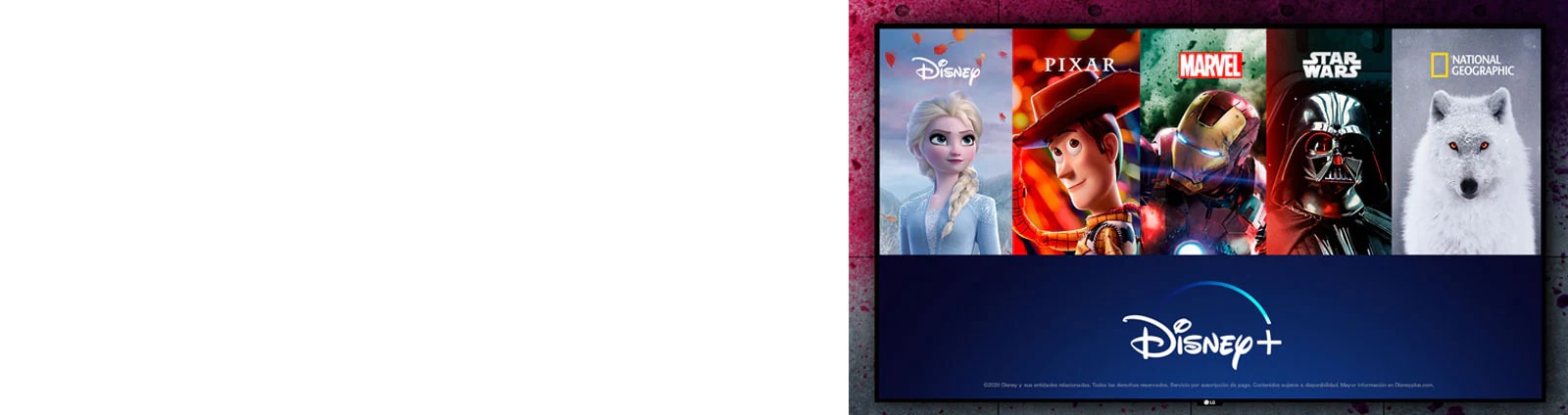 Tus favoritos en un solo lugar