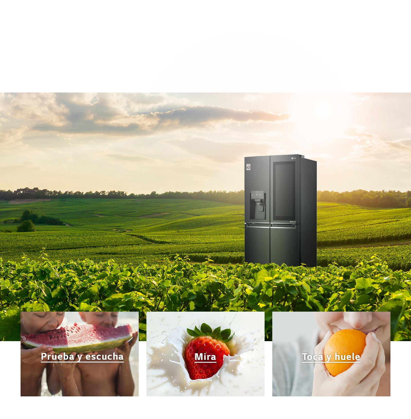 Deleita tus sentidos con NatureFRESH™1