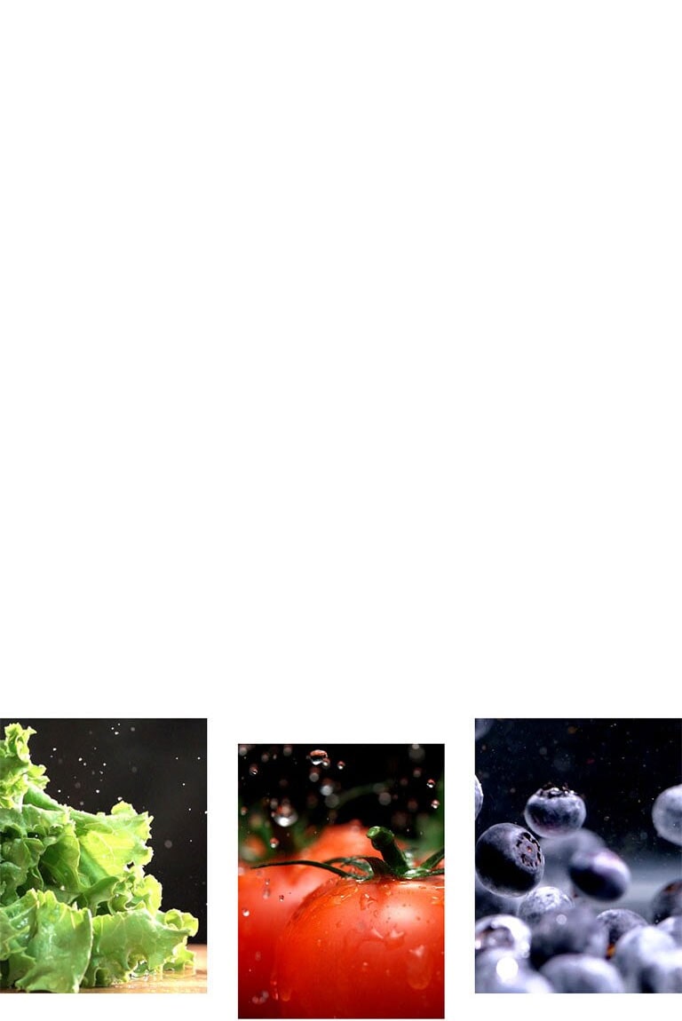 Mantén tus alimentos frescos por más tiempo