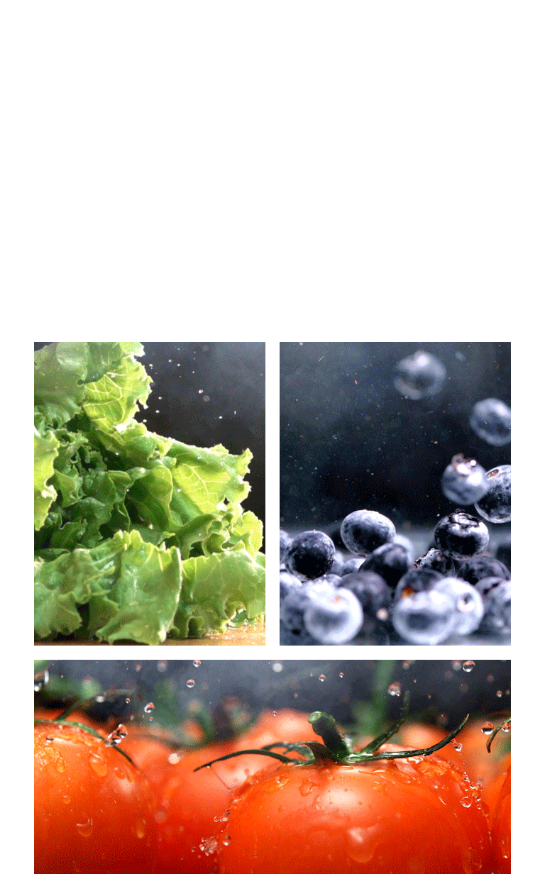 Mantén los Alimentos Frescos por más Tiempo6