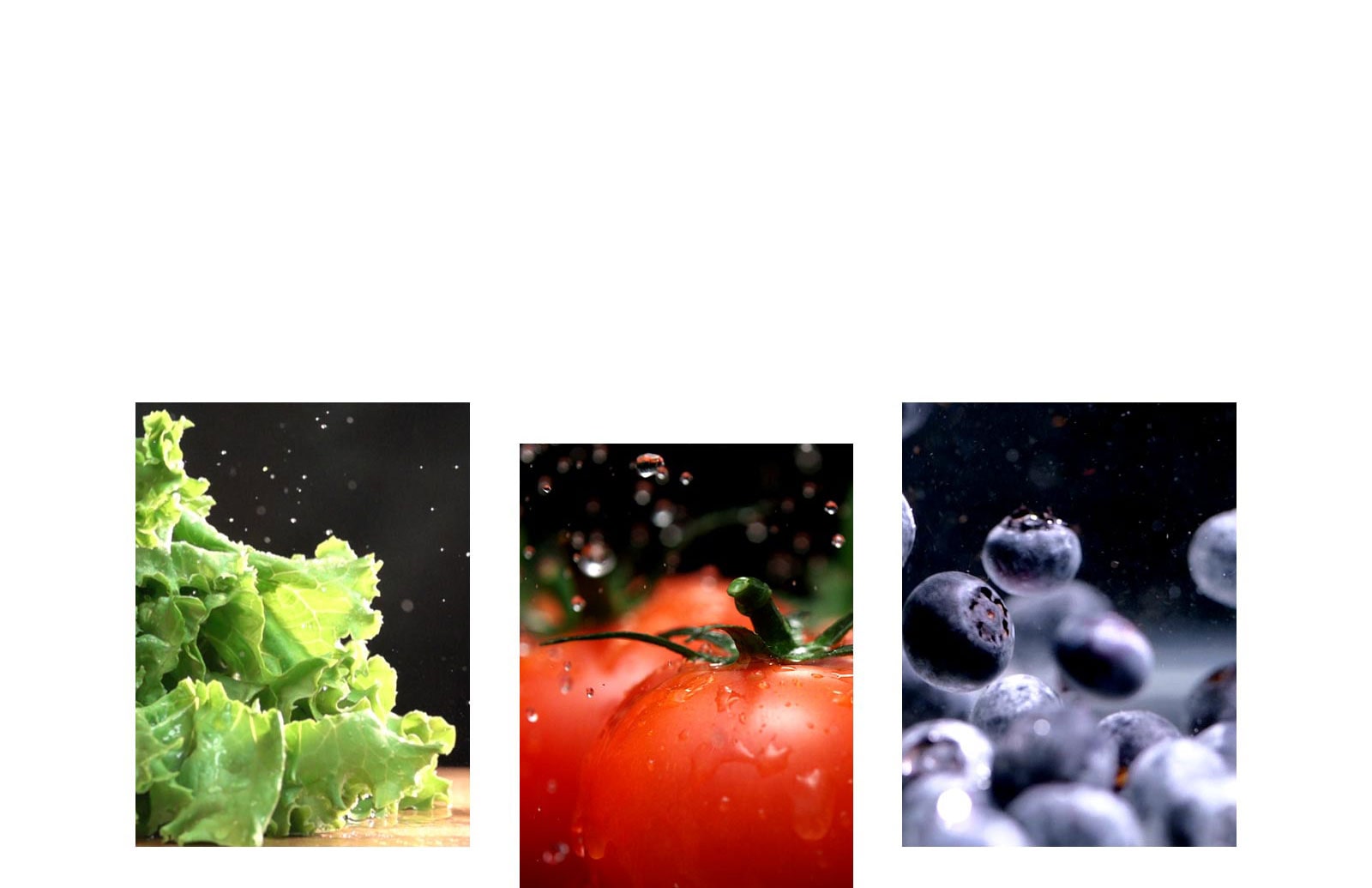 Mantén tus alimentos frescos por más tiempo