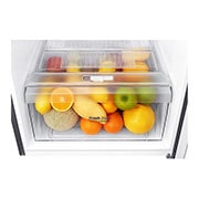 LG Heladera con Freezer arriba - Capacidad 235lt, GT26BPG, thumbnail 6
