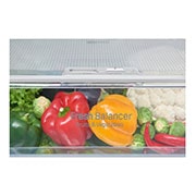 LG Heladera con Freezer abajo - Capacidad 314lt, GW-F439SVFZ, thumbnail 7