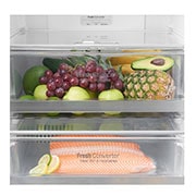 LG Heladera con Freezer abajo - Capacidad 314lt, GW-F439SVFZ, thumbnail 11