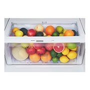 LG Heladera con Freezer arriba - Capacidad 410lt, GM-F432HLHN, thumbnail 6