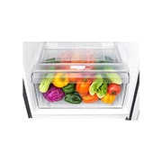 LG Heladera con Freezer Arriba - Capacidad 254lt, GT29WPPDC, thumbnail 6